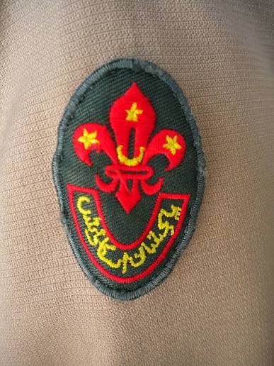 Wanna Scouts