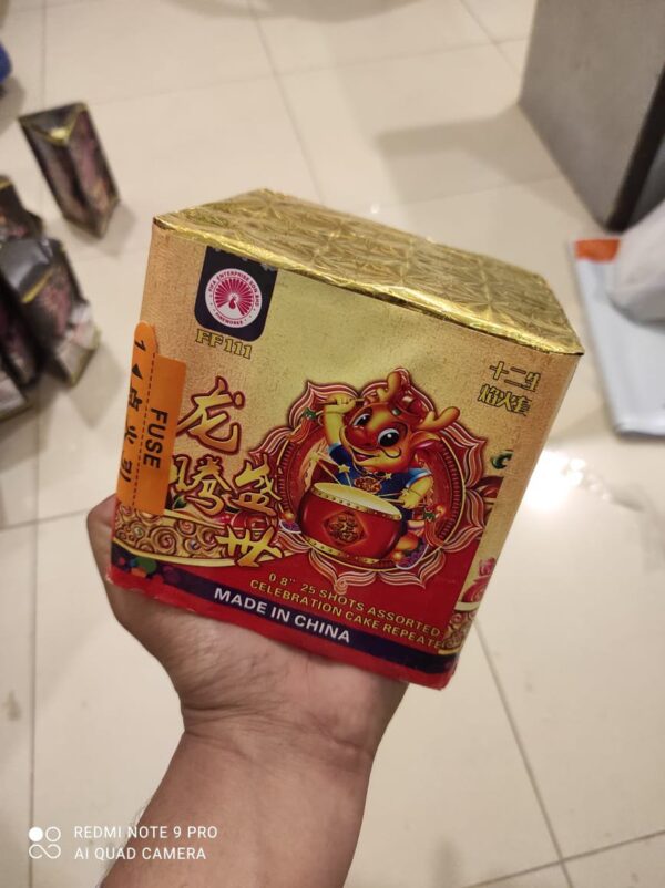 25 shots imported fireworks cakes best quality best sound imported from china